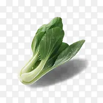 �Ͳ�-������