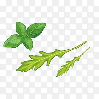 手绘蔬菜叶子青菜-空若网 手绘蔬菜叶子青菜-空若网