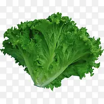 蔬菜-空若网 蔬菜-空若网