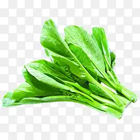 菜心蔬菜-空若网 菜心蔬菜-空若网