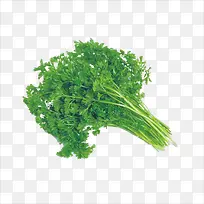 芹菜-空若网 芹菜-空若网