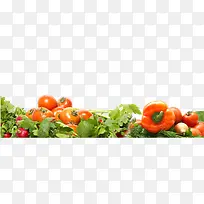 蔬菜-空若网 蔬菜-空若网