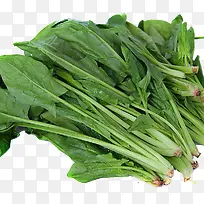 蔬菜菠菜-空若网 蔬菜菠菜-空若网