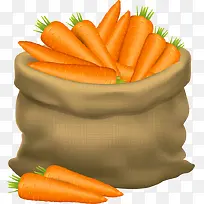 矢量胡萝卜-空若网 矢量胡萝卜-空若网