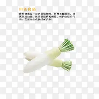 ���ܲ�  ��ɫʳƷ  ��ɫ�߲�-������