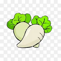 白萝卜-空若网 白萝卜-空若网