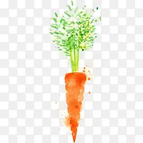 ��ͨˮ���߲��ܲ�-������