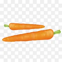 红萝卜-空若网 红萝卜-空若网