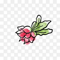 萝卜-空若网 萝卜-空若网