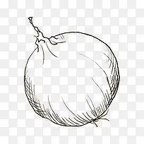 手绘萝卜-空若网 手绘萝卜-空若网