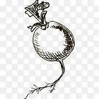 手绘萝卜-空若网 手绘萝卜-空若网