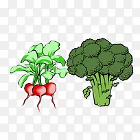 蔬菜-空若网 蔬菜-空若网