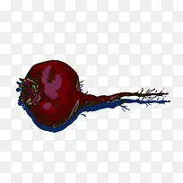 �ֻ��ܲ�-������