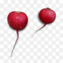 蔬菜萝卜-空若网 蔬菜萝卜-空若网