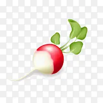 萝卜-空若网 萝卜-空若网