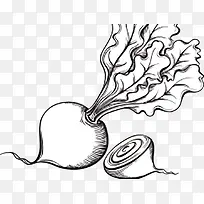 蔬菜-空若网 蔬菜-空若网