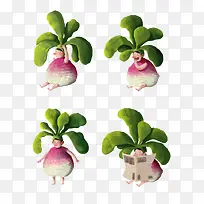 可爱的萝卜-空若网 可爱的萝卜-空若网