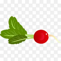 卡通手绘圆萝卜-空若网 卡通手绘圆萝卜-空若网