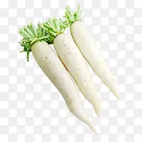 �����߲˰�ɫ�ܲ�-������