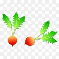 卡通萝卜-空若网 卡通萝卜-空若网