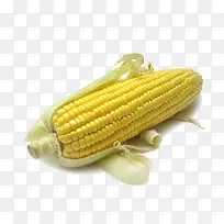 ��ɫ������-������