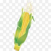 玉米png矢量素材-空若网 玉米png矢量素材-空若网
