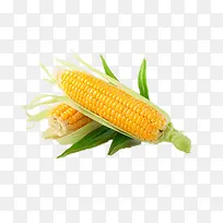玉米-空若网 玉米-空若网