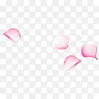 四朵白色花瓣-空若网 四朵白色花瓣-空若网