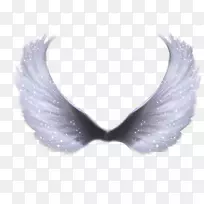 翅膀剪贴画-翅膀-空若网 翅膀剪贴画-翅膀-空若网