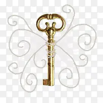 ����Կ���ز�-������