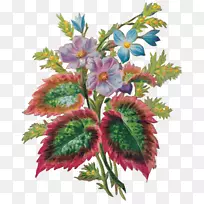 切花花卉设计花卉花束-插图-空若网 切花花卉设计花卉花束-插图-空若网