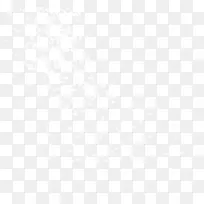 白色树荫背景-空若网 白色树荫背景-空若网