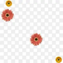 彩色葵花元素-空若网 彩色葵花元素-空若网