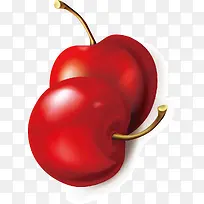 山楂矢量装饰手绘-空若网 山楂矢量装饰手绘-空若网