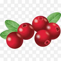 山楂手绘矢量-空若网 山楂手绘矢量-空若网