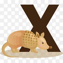 ��ͨ��ĸX-������