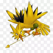 ��������ֲ�������-������