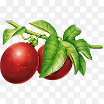 ˮ��-������