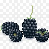 水果桑葚-空若网 水果桑葚-空若网