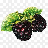 水果-空若网 水果-空若网