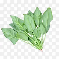 ����-������