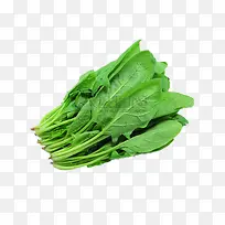 绿色蔬菜-空若网 绿色蔬菜-空若网