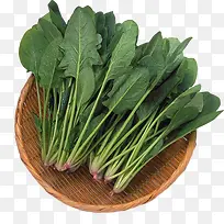 菠菜-空若网 菠菜-空若网