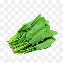 ²¤²Ë-¿ÕÈôÍø ²¤²Ë-¿ÕÈôÍø