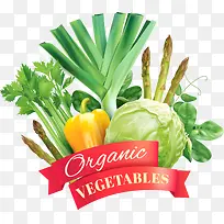 矢量有机蔬菜-空若网 矢量有机蔬菜-空若网