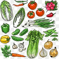 װ���л��߲�-������