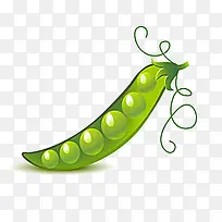 �㶹-������