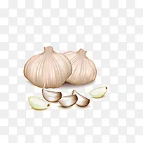 蒜-空若网 蒜-空若网