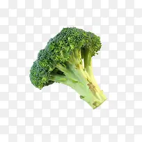 ��Ҭ���ز�-������