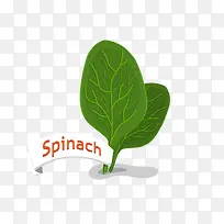 ��Ҷ�߲˿�ͨʸ���ز�-������